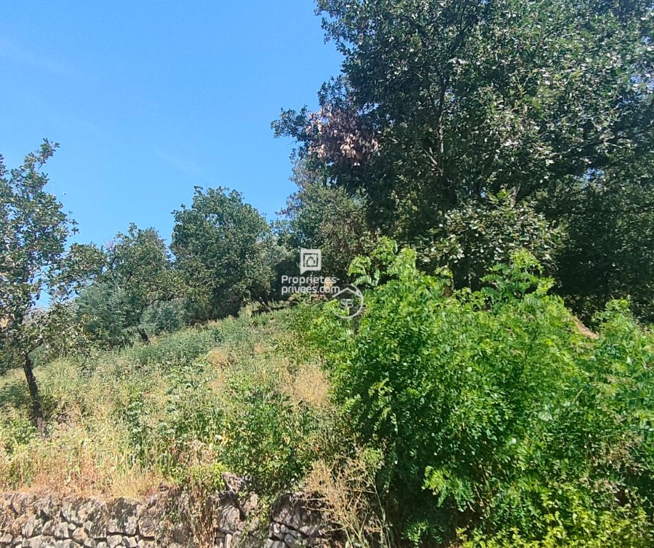 AUBENAS Terrain  prêt à bâtir avec vue à 180° dans un village tranquille, à 10 min d'Aubenas de 785 m²,  totalementviabilisé, permis accordé 4