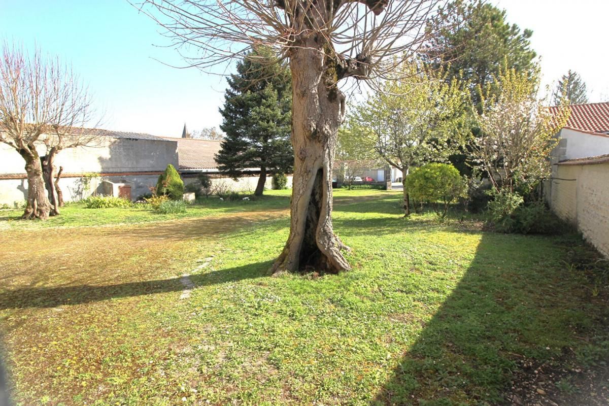 JARNAC-CHAMPAGNE Maison charentaise - Jarnac Champagne - 11 pièces - 273 m2 3