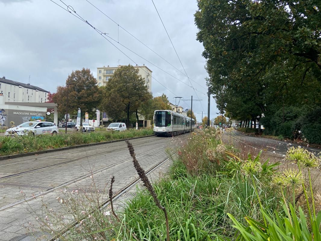 NANTES 44200 NANTES - LOCAL COMMERCIAL 219 M² , RESTAURATION FROIDE A LOUER 4