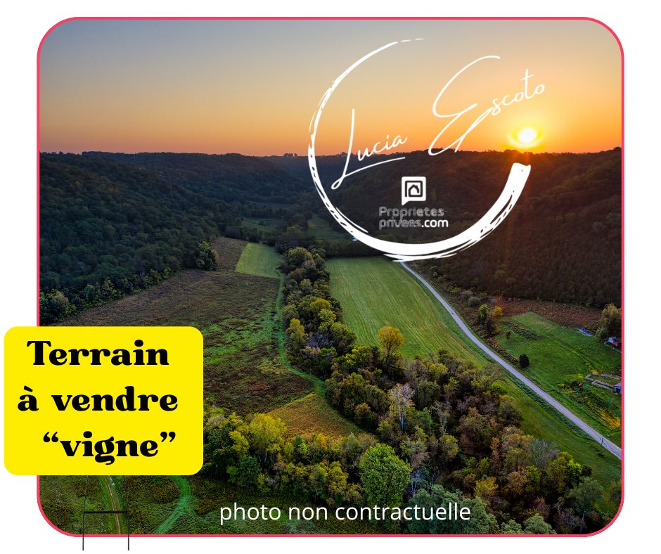 LE MAGNY Terrain avec des vignes 1