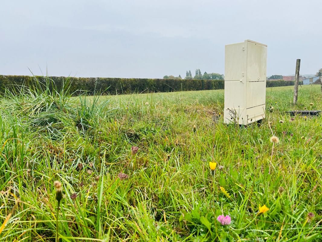 NECY NECY : TERRAIN DE 895 m² ENTIEREMENT VIABILISE 3