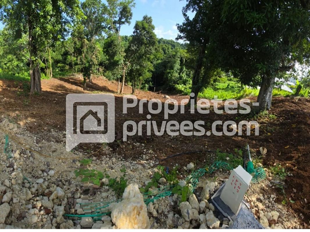 PETIT-BOURG Terrain Petit Bourg 1000 m2 2