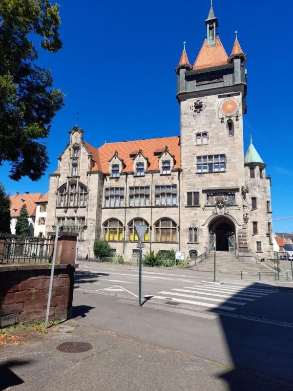 HAGUENAU HAGUENAU - Local commercial  avec vitrines  59 m² 3