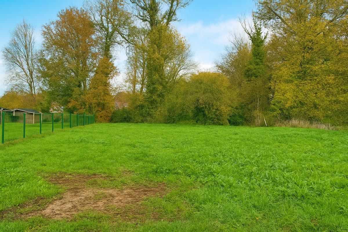 NOYELLETTE TERRAIN A BATIR 2