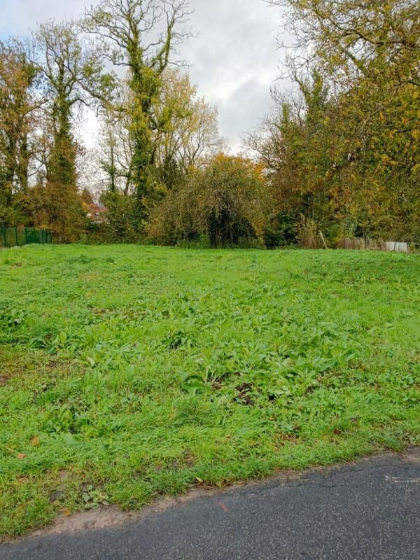 NOYELLETTE TERRAIN A BATIR 3