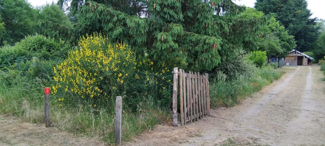 LES BORDES Terrain de loisirs Les Bordes 1