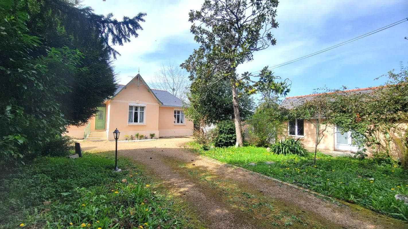 CHAZE-SUR-ARGOS MAISON DE CHARME AVEC PISCINE SUR 3000 M² DE PARCELLE LE LION D'ANGERS 2