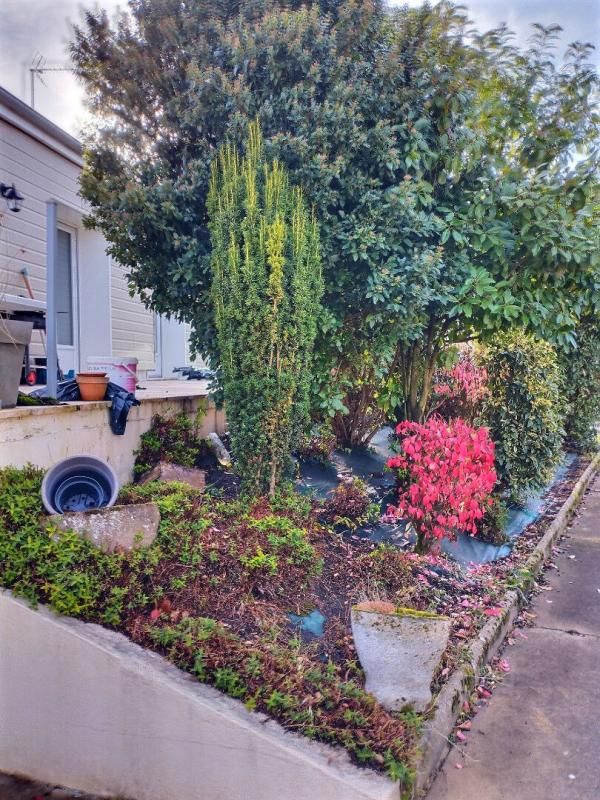 BONNEVAL Maison 130 m2 avec piscine, terrain 1148 m2 et sous-sol- Trizay-les-Bonneval (8 min de Bonneval) 2