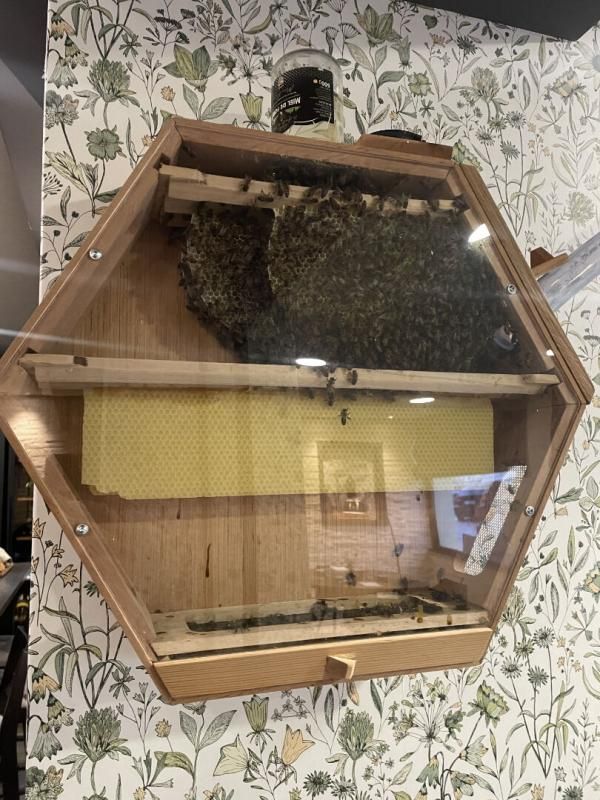 SAINT-DIE-DES-VOSGES SAINT DIE DES VOSGES - BAR, RESTAURANT 35 COUVERTS avec LOGEMENT 4