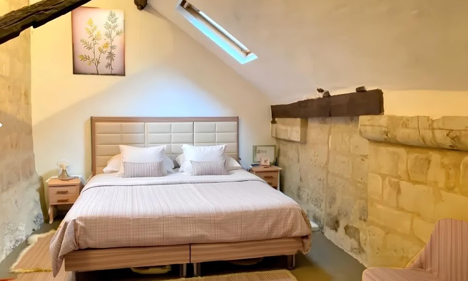 TOURS Appartement atypique 2 chambres tours cathédrale 4