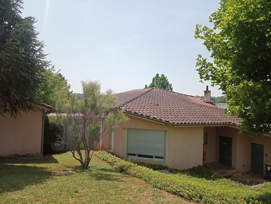 ALBI Bureaux - Local commercial - Albi 2