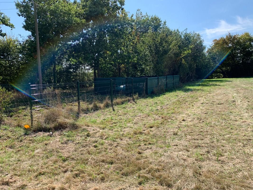 LA TRINITE-DE-REVILLE Terrain La Trinite De Reville 4786 m2 2