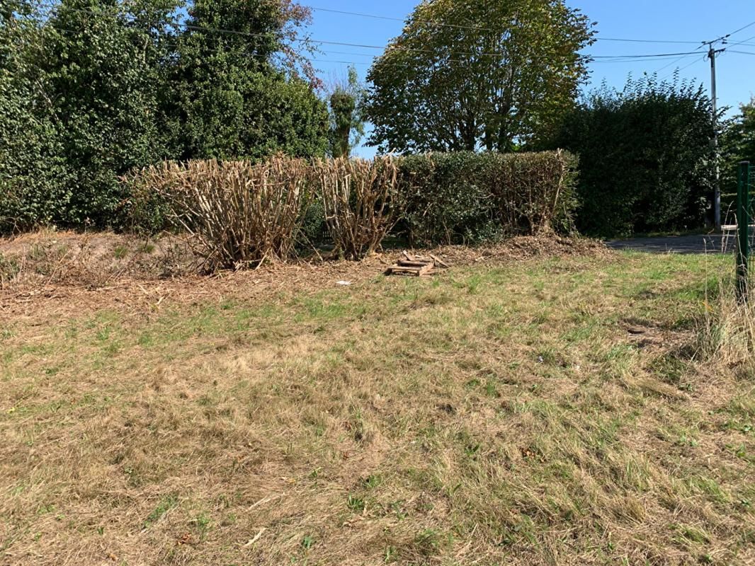 LA TRINITE-DE-REVILLE Terrain La Trinite De Reville 4786 m2 3