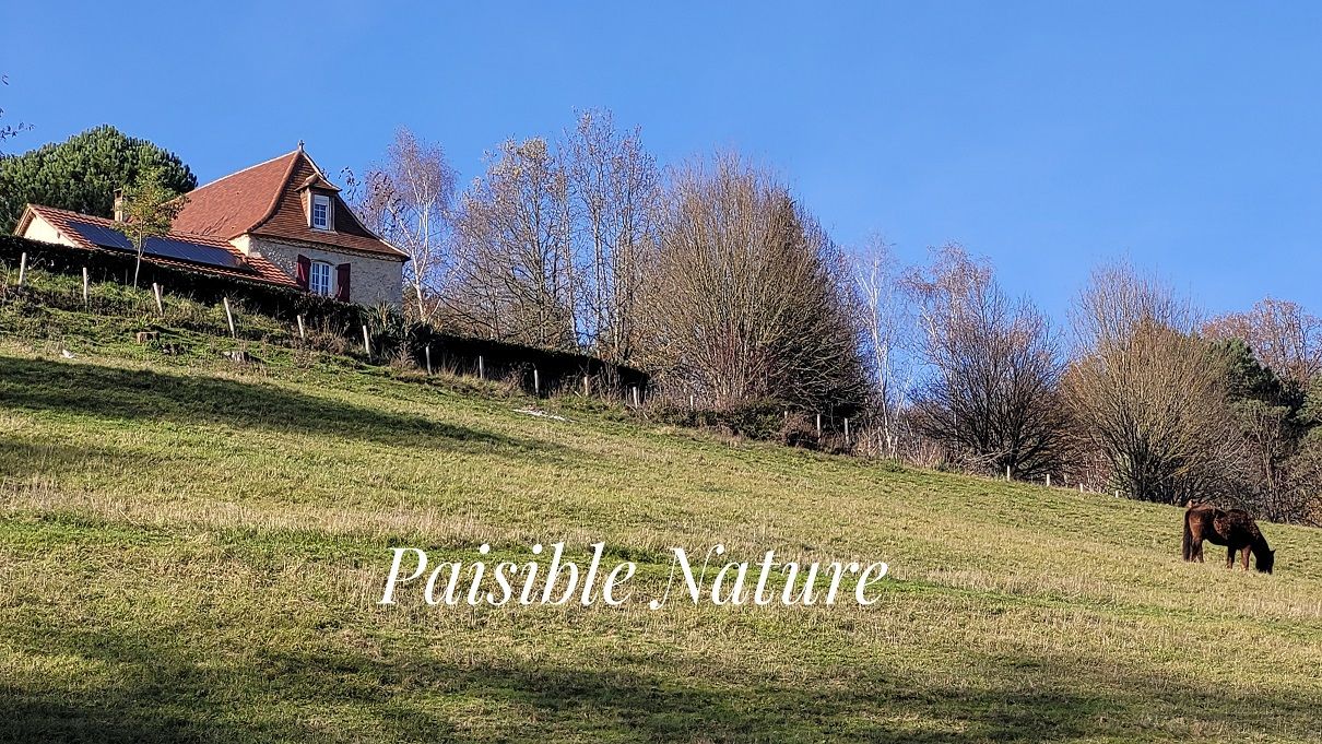 ROUFFIGNAC-SAINT-CERNIN-DE-REILHAC Au milieu de 5 hectares, dans un environnement sans voisins et autres nuisances. Périgourdine rénovée, grange et bergerie. 4 chambres .2 Salles d'eau. Piscine 2