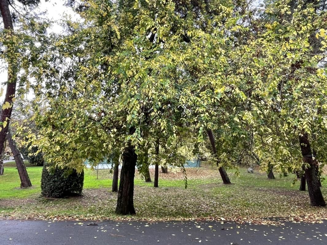 T2 situé résidence Emeraude au Bouscat parc verdoyant place de parking privée et cave