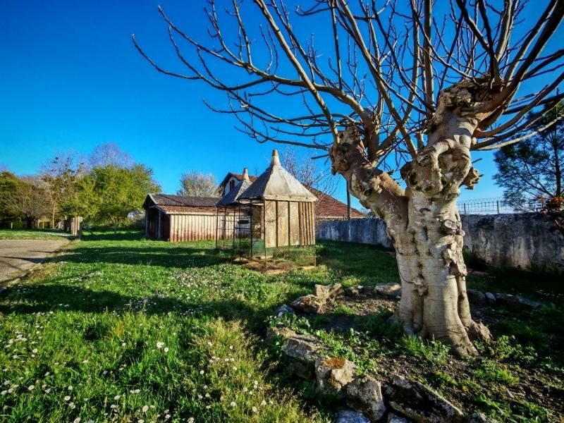 PONTONX-SUR-L'ADOUR Maison de caractère avec dépendance et grand terrain arboré 1