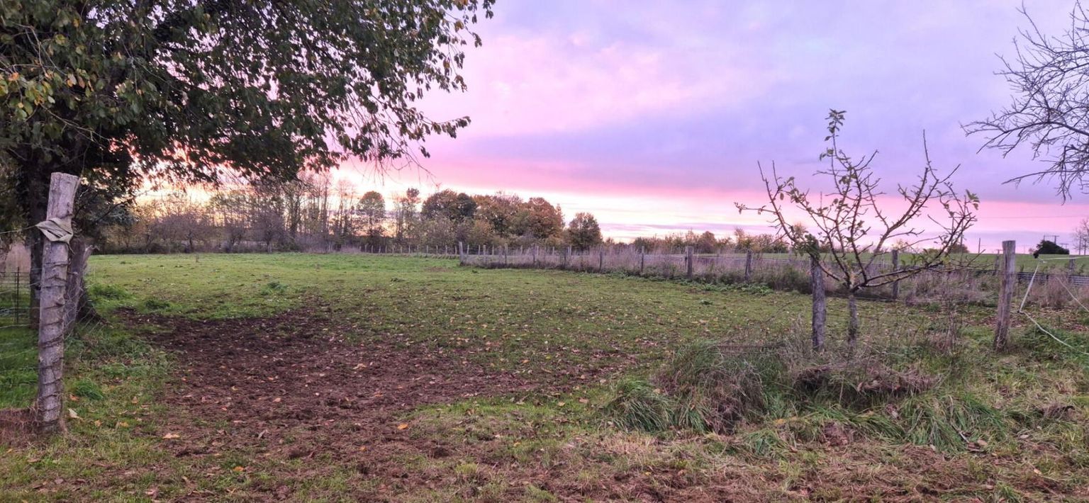 WASSY Belle Propriété d'Agrément et sa Maison Individuelle de 164 m² sur Sous-sol complet et Véranda à Rénover avec Cour, Garages, Caves, Dépendances et Terrain clos et paysager de 10192 m² 1