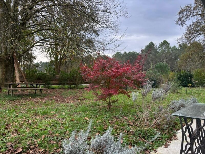 MAGESCQ Maison Magescq 6 pièce(s) 147 m2 2