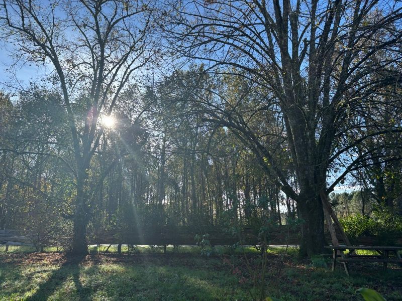 MAGESCQ Maison Magescq 6 pièce(s) 147 m2 4