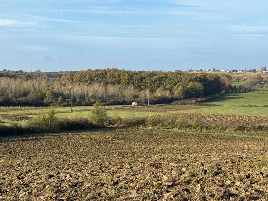 CASTELVIEL Terres d'Exception : domaine forestier, vignes et pâturages au coeur des coteaux de l'Entre-Deux-Mers 1