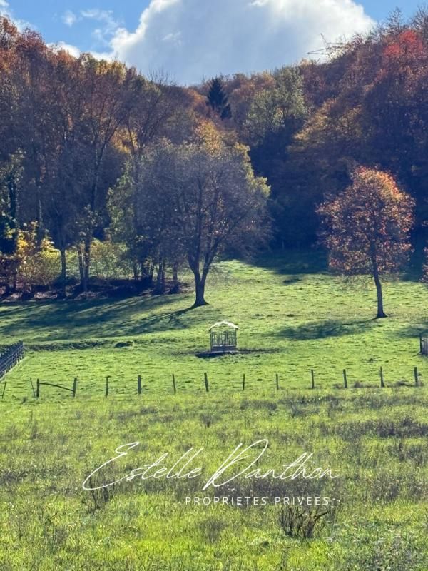 LONGECHENAL Terrain constructible viabilisé de 776 m2 à Longechenal 1