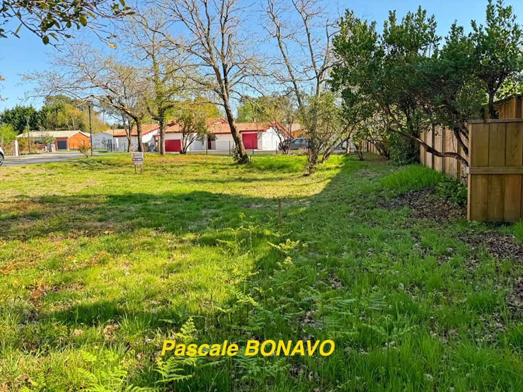 HOURTIN EN PREMIERE LIGNE A 600M DU PORT D'HOURTIN - TERRAIN VIABILISÉ 2