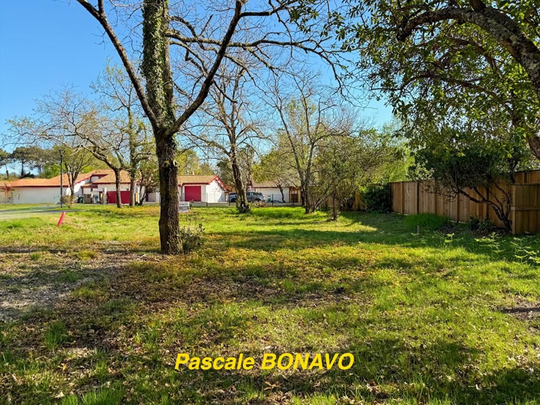 HOURTIN EN PREMIERE LIGNE A 600M DU PORT D'HOURTIN - TERRAIN VIABILISÉ 3