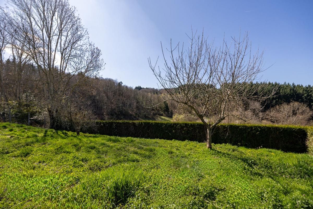 VIOLAY Maison de hameau avec fort potentiel et une belle vue panoramique 4