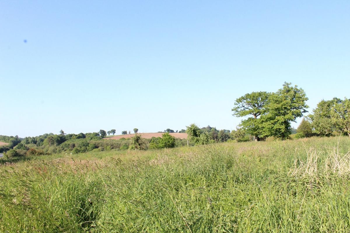 SAINT-BRANDAN Côtes d'Armor 22800 Saint-Brandan Corps de ferme/ Longère de plain-pied, 2 chambres, dépendances, grand terrain 3