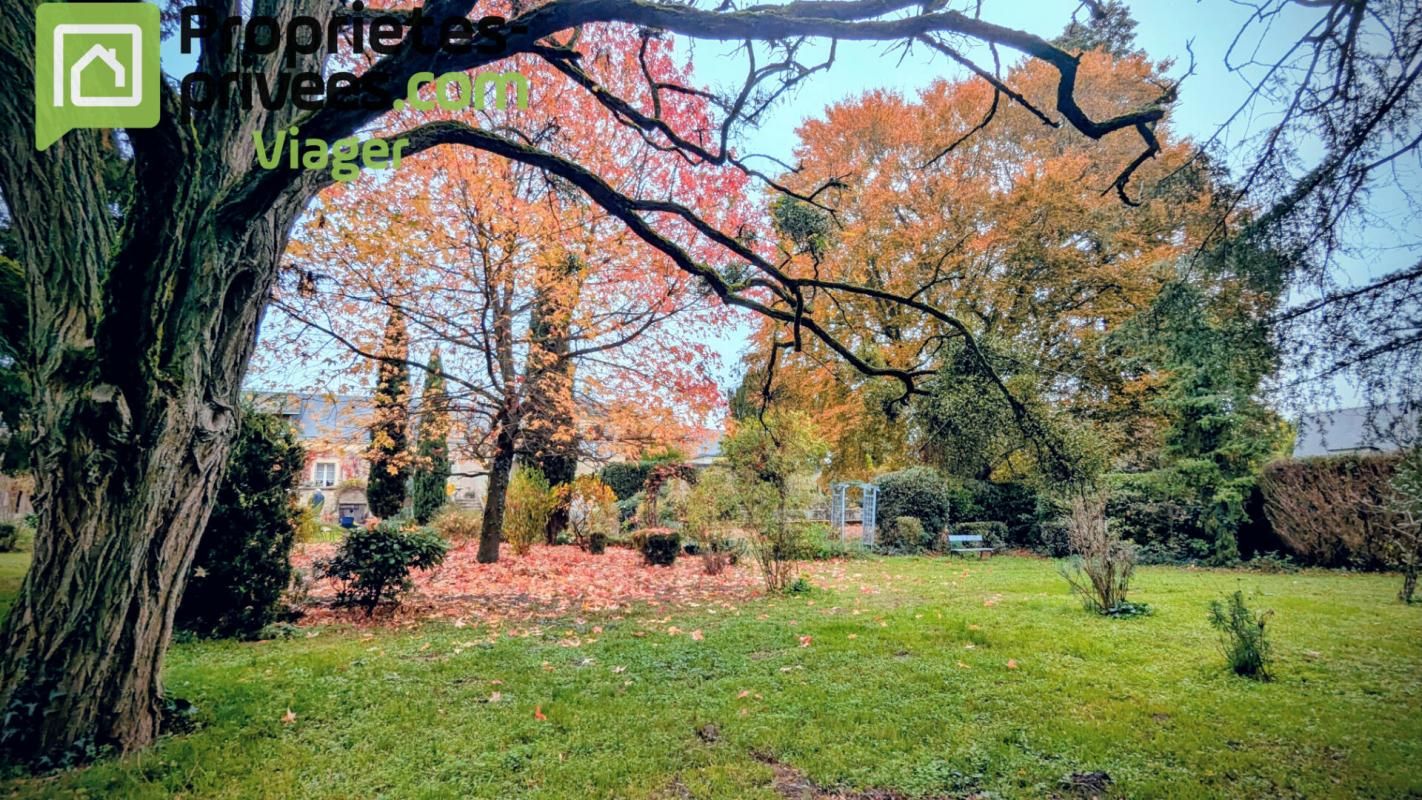 BOURGUEIL Viager occupé. Bourgueil 2