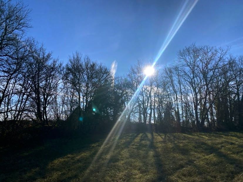 NEGRONDES Grange Negrondes 1 pièce(s) 65 m2 3