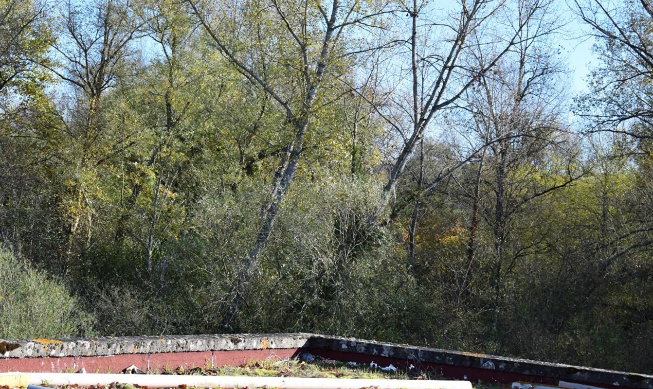 VICHY Maison à réhabiliter 3