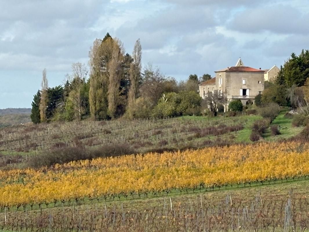 Secteur Castelviel (33) - DOMAINE AGRICOLE, CHATEAU, GITES