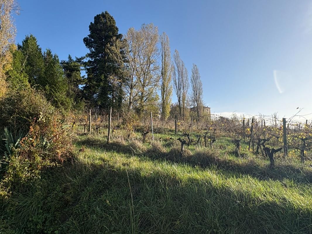 CASTELVIEL Domaine à Castelviel 6 pièce(s) 160 m2 3