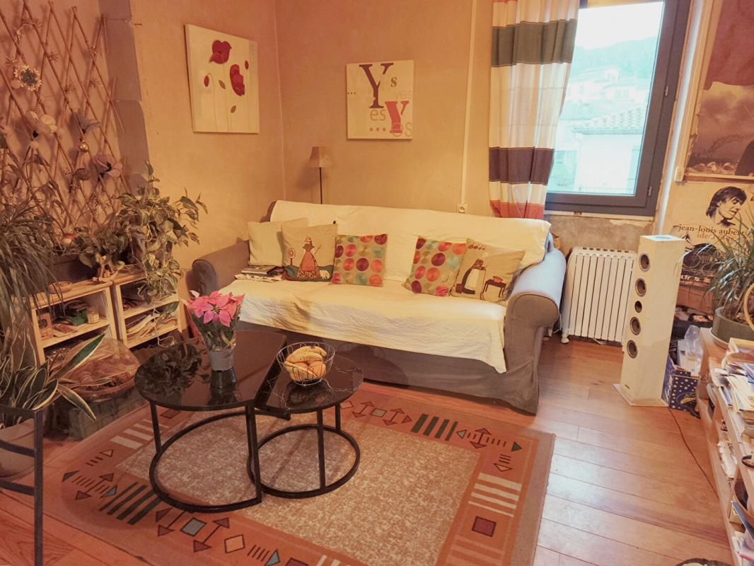 SAINT-LAURENT-DE-CERDANS Appartement T3 60 m2 cave et jardinet 3