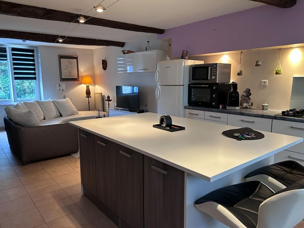 RIEUX-MINERVOIS Maison Rieux Minervois 3 pièce(s) 98 m2 4