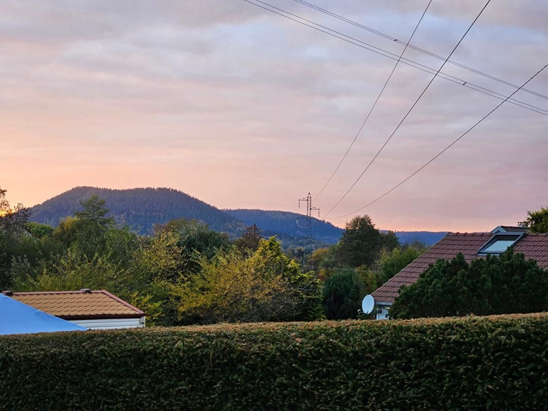 GERARDMER Propriété de loisirs avec piscine, jacuzzi, Sauna, plus de 3 400m2, 14 pièces 1 maison principale, 2 chalets, 1 mobil-home 4