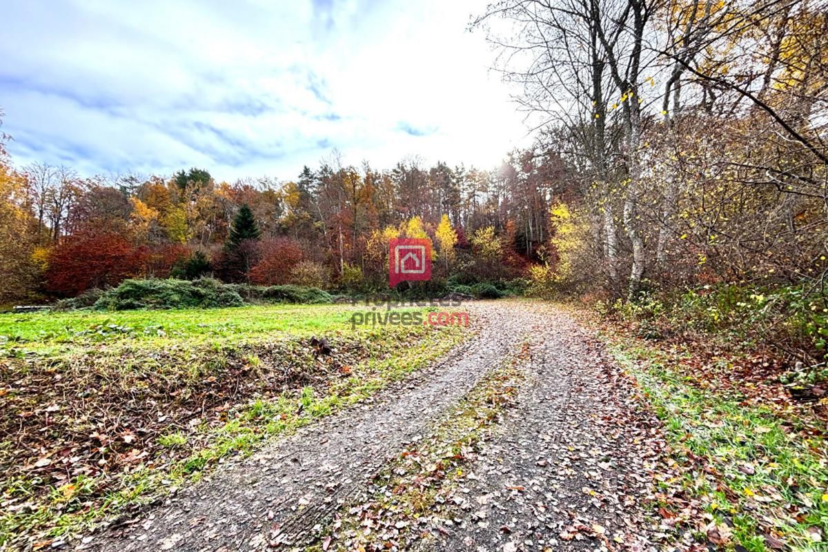 MAZAYE Terrain constructible à vendre Mazaye de 3200m² 4