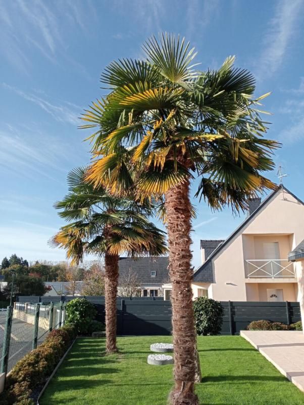 PLOERMEL Maison 6 pièce(s) 157 m2 PLOERMEL 3