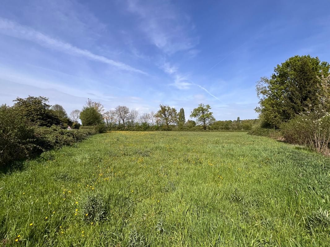 BEAUFAY Terrain à Allotir - Beaufay - 7100 m² 2