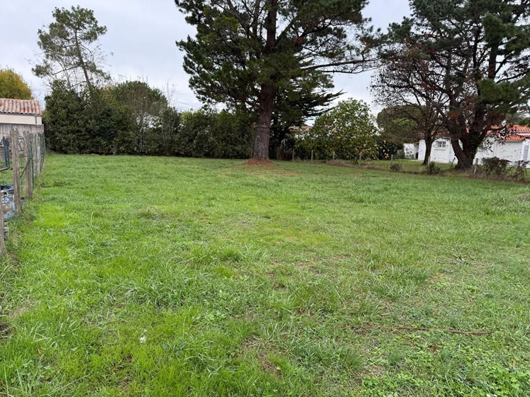 SAINT-GEORGES-D'OLERON Dept 17 - Saint Georges d'Oléron - Terrain Constructible 784 m² 3