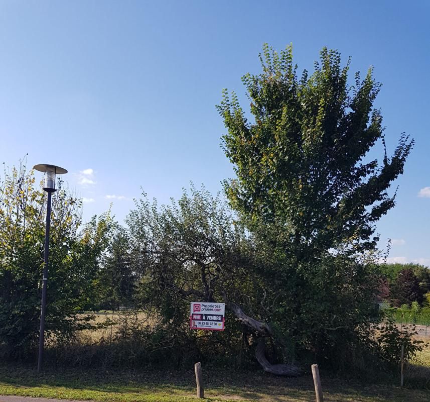 LA COUR-MARIGNY Terrain La Cour Marigny 1 313  m2 3