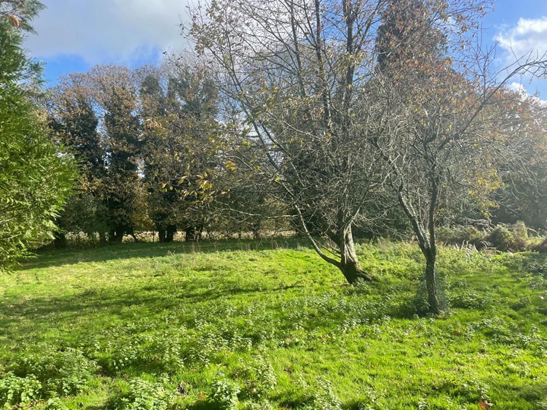 GUERN Exclusivité - Morbihan - Entre la Vallée du Blavet et la Vallée de la Sarre - Ensemble de deux maisons sur un terrain de 3773 m2 2