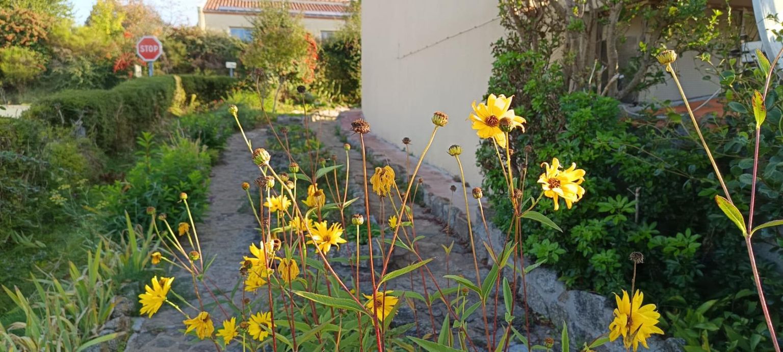 POUZAUGES Maison Pouzauges 6 pièce(s) 96.03 m2 3