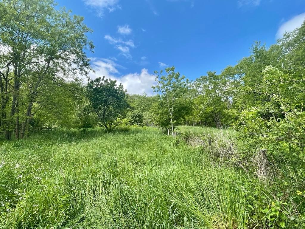 BOEN-SUR-LIGNON Maison Boen 4 pièces 79 m2 3