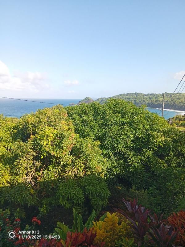 LE MARIGOT Immeuble Le Marigot 240 m2 2