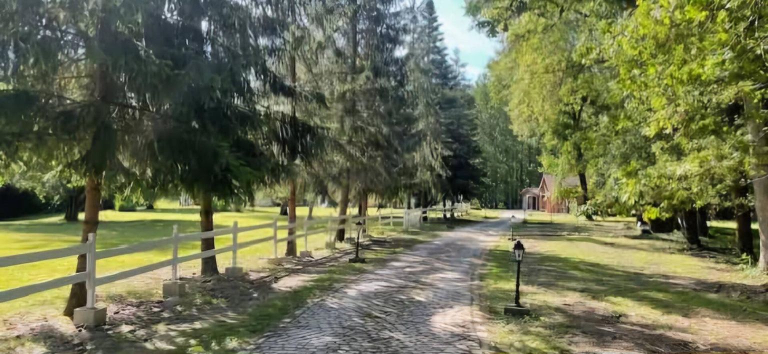 SULLY-SUR-LOIRE PROPRIETE EQUESTRE 3