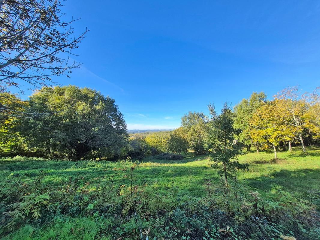 LA CASSAGNE Terrain La Cassagne 8085 m2 3