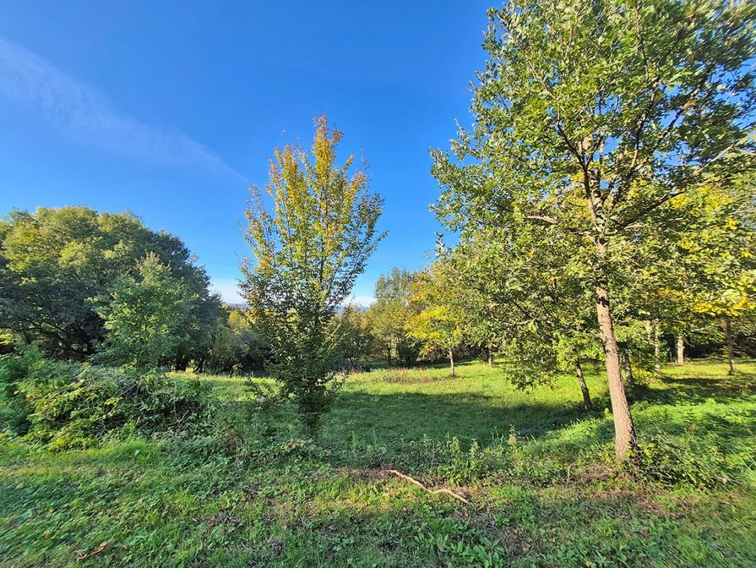 LA CASSAGNE Terrain La Cassagne 8085 m2 4