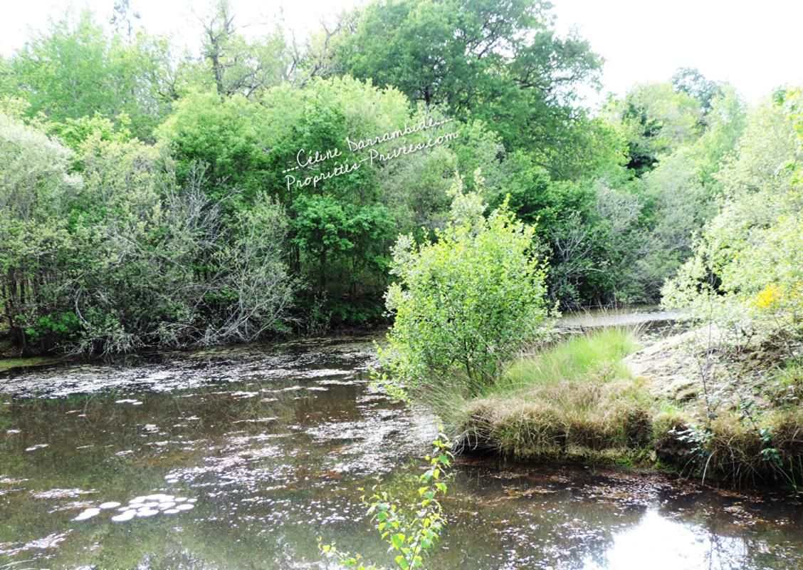 LUGLON Propriété avec étang, piscine et dépendances 3